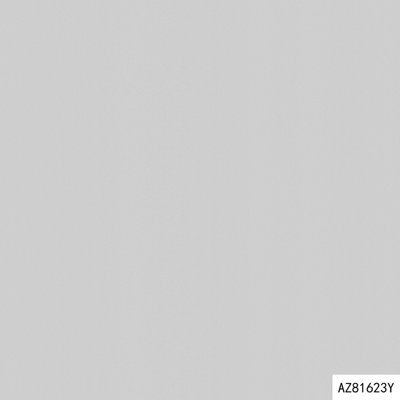 AZ81623Y